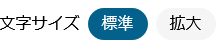 文字サイズ変更