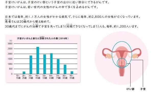 子宮3.jpg