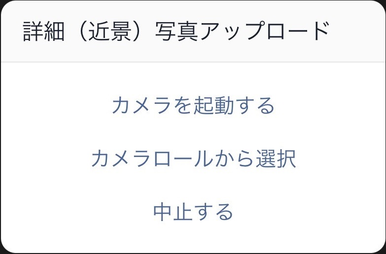 近景写真アップロード（画像）