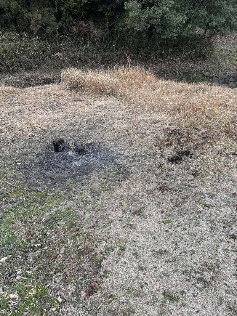 野焼きの写真2