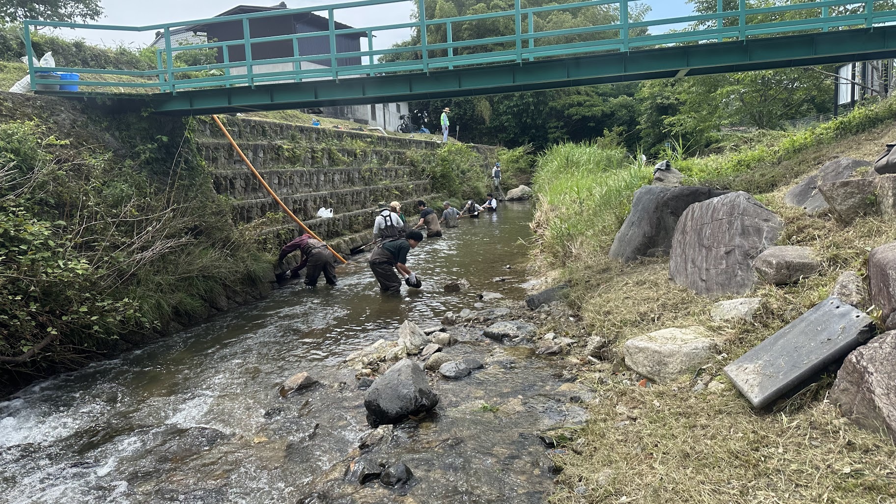 巣穴清掃の様子