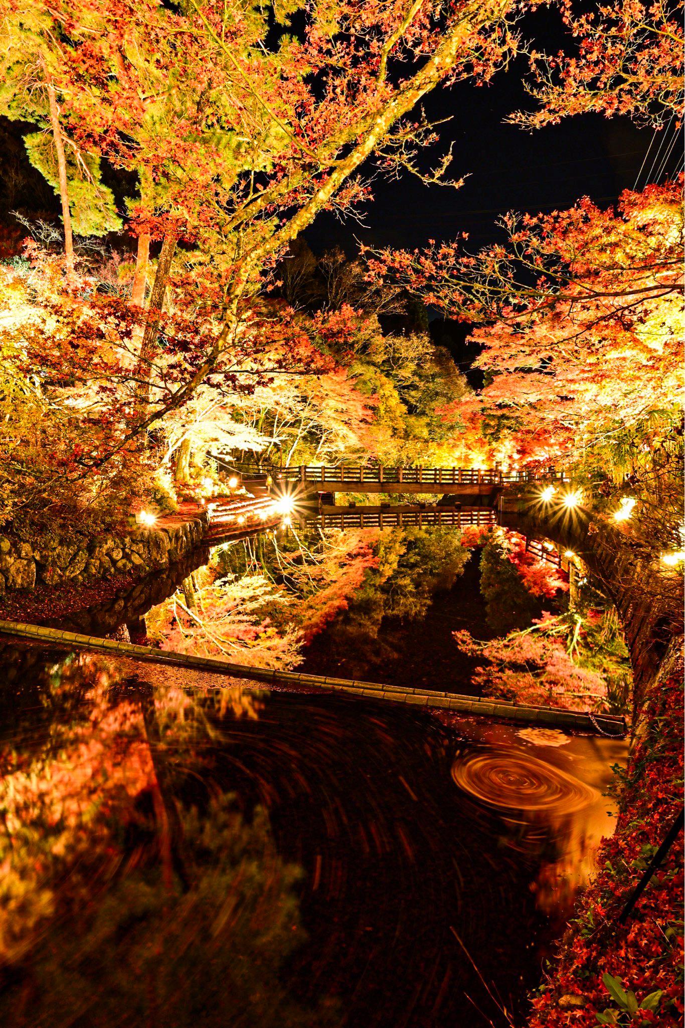 岩屋堂ライトアップの写真