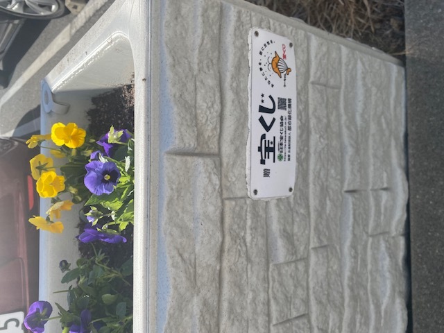 宝くじ