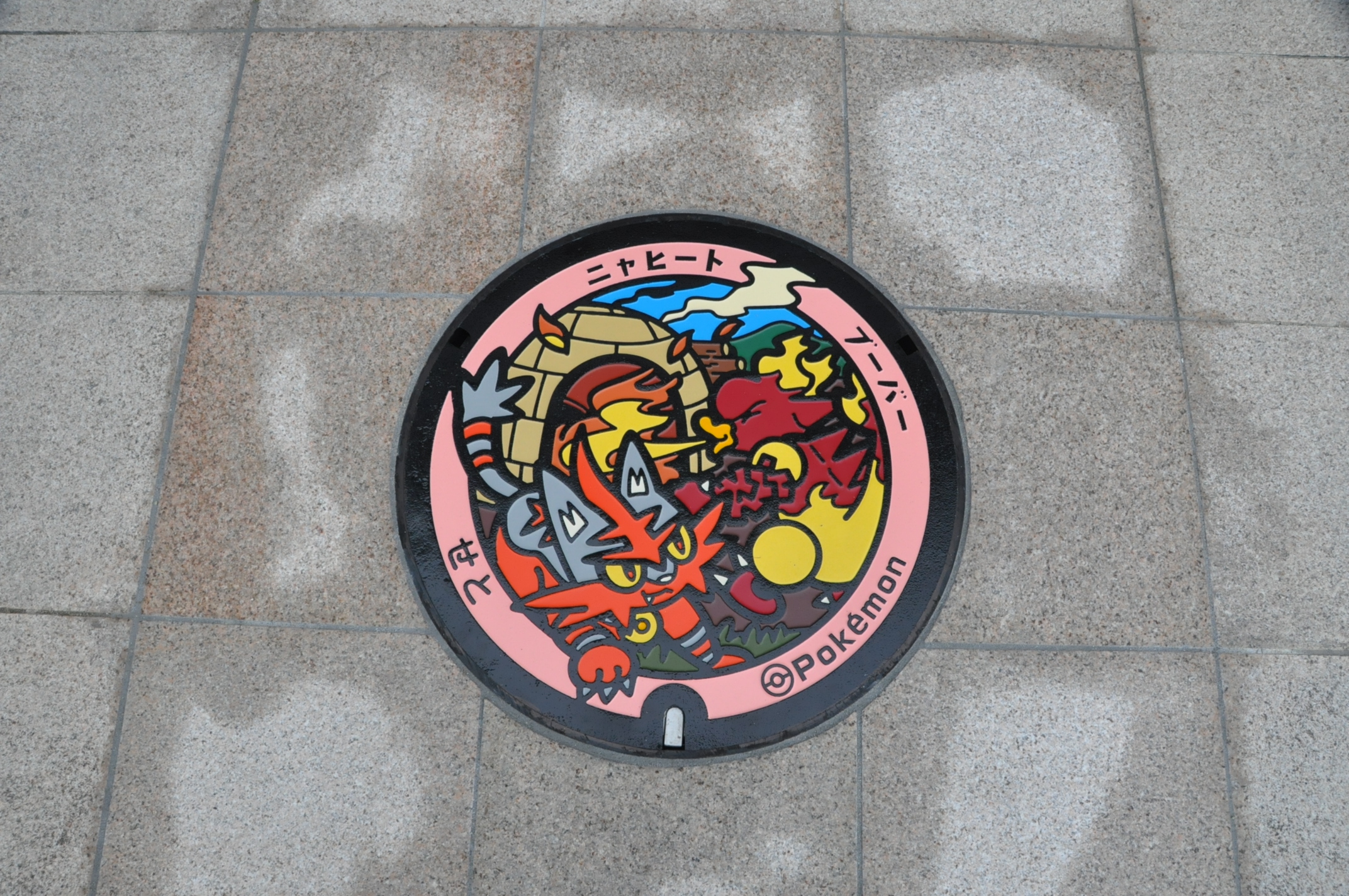 瀬戸市のポケふた写真