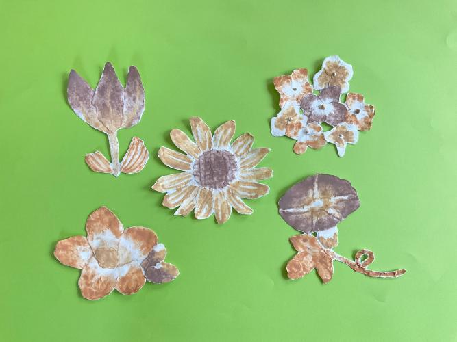 つちいろフラワー