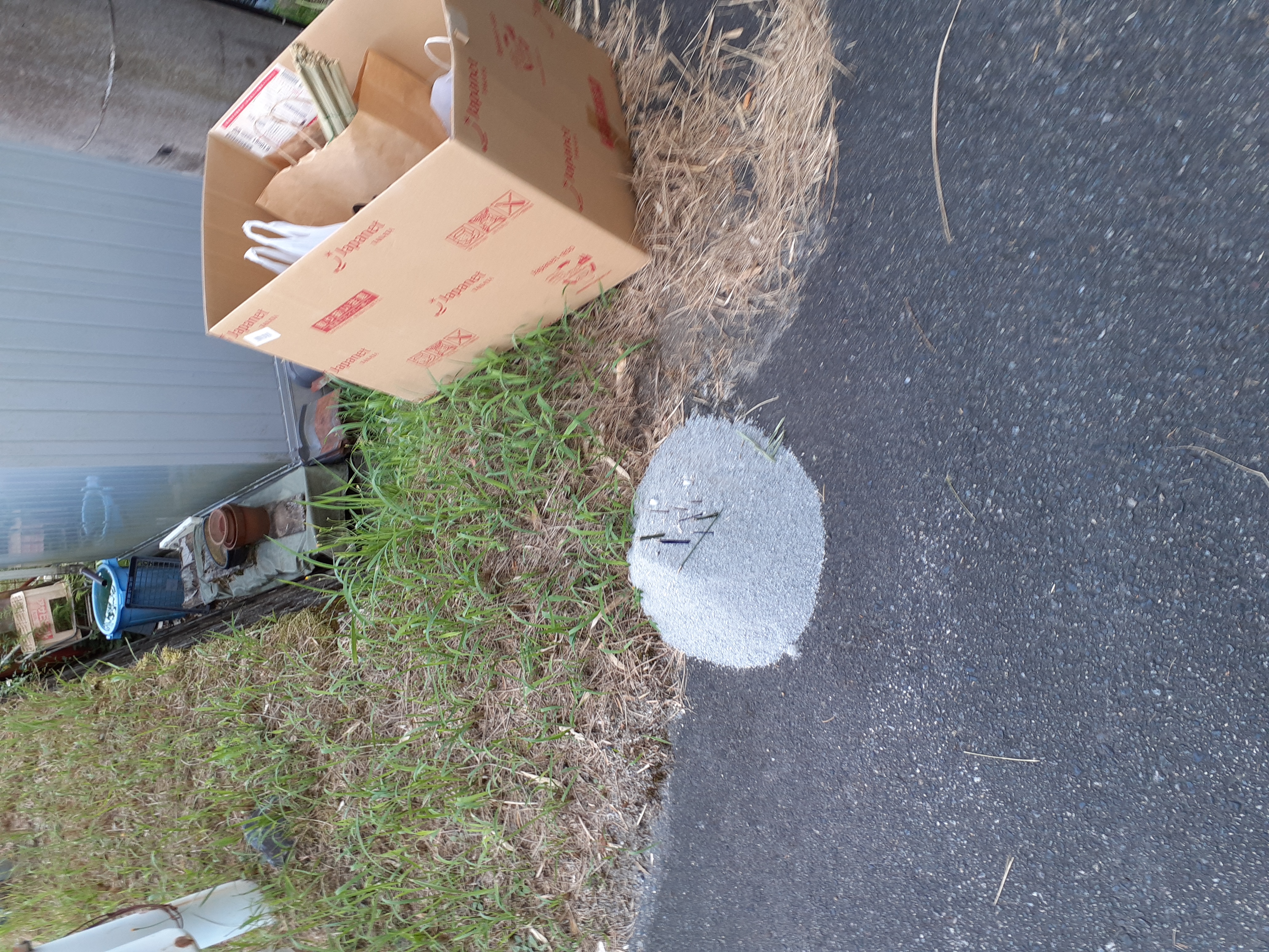 市が設置していない段ボールがあり、その付近に砂盛と線香がありました。