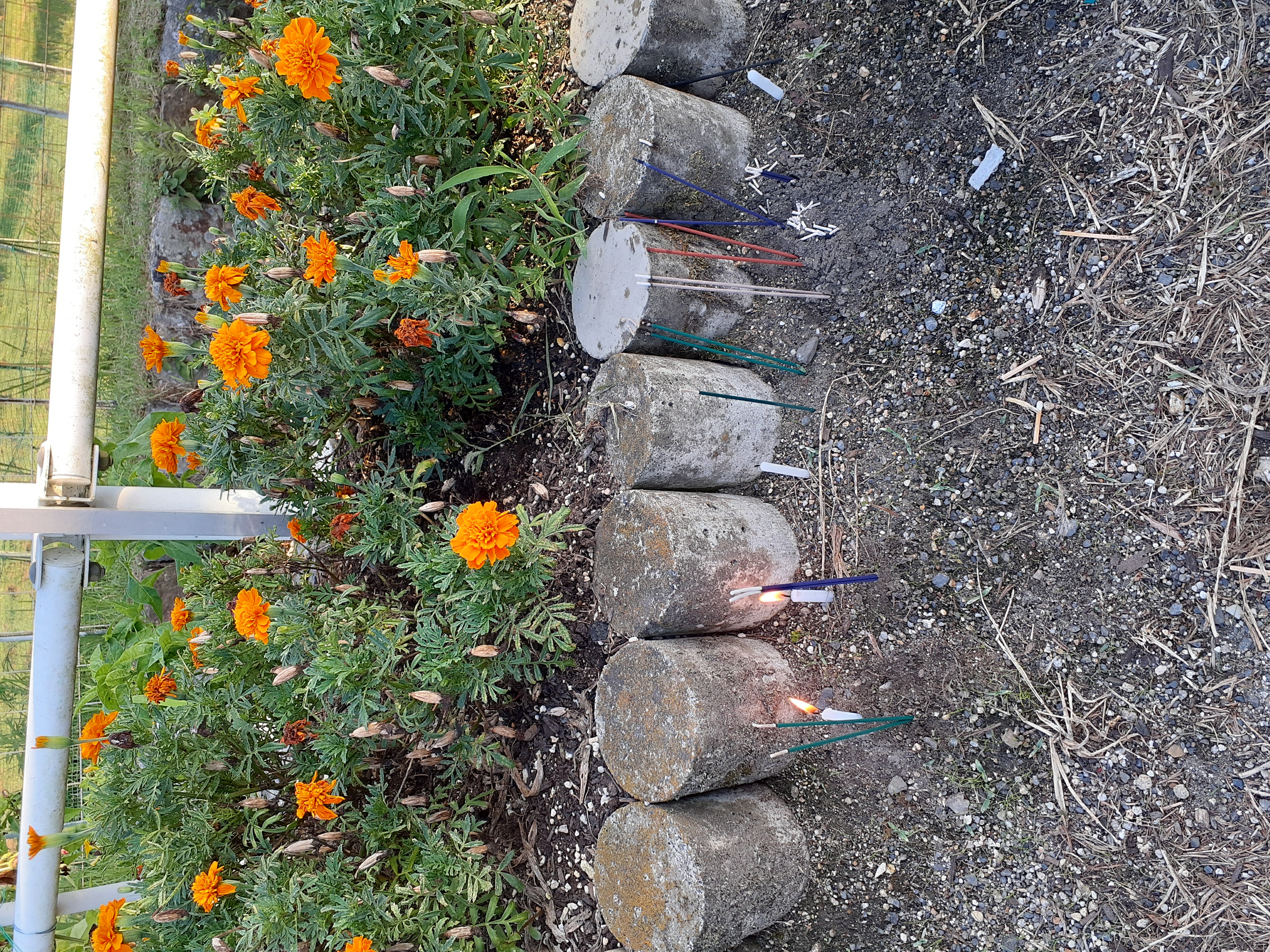 回収場所付近の花壇近に線香、ろうそくがありました。