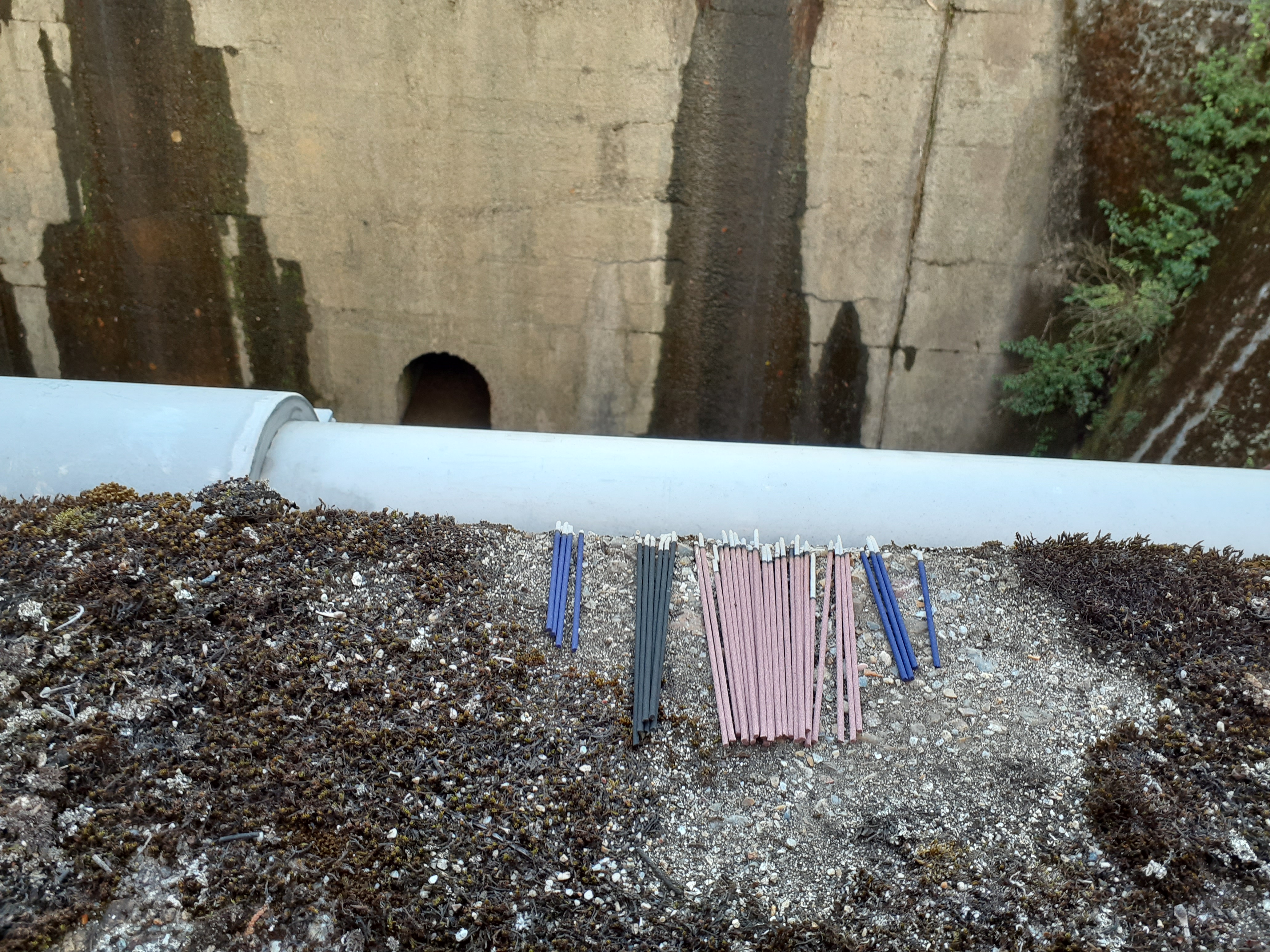 橋の欄干に線香がありました。