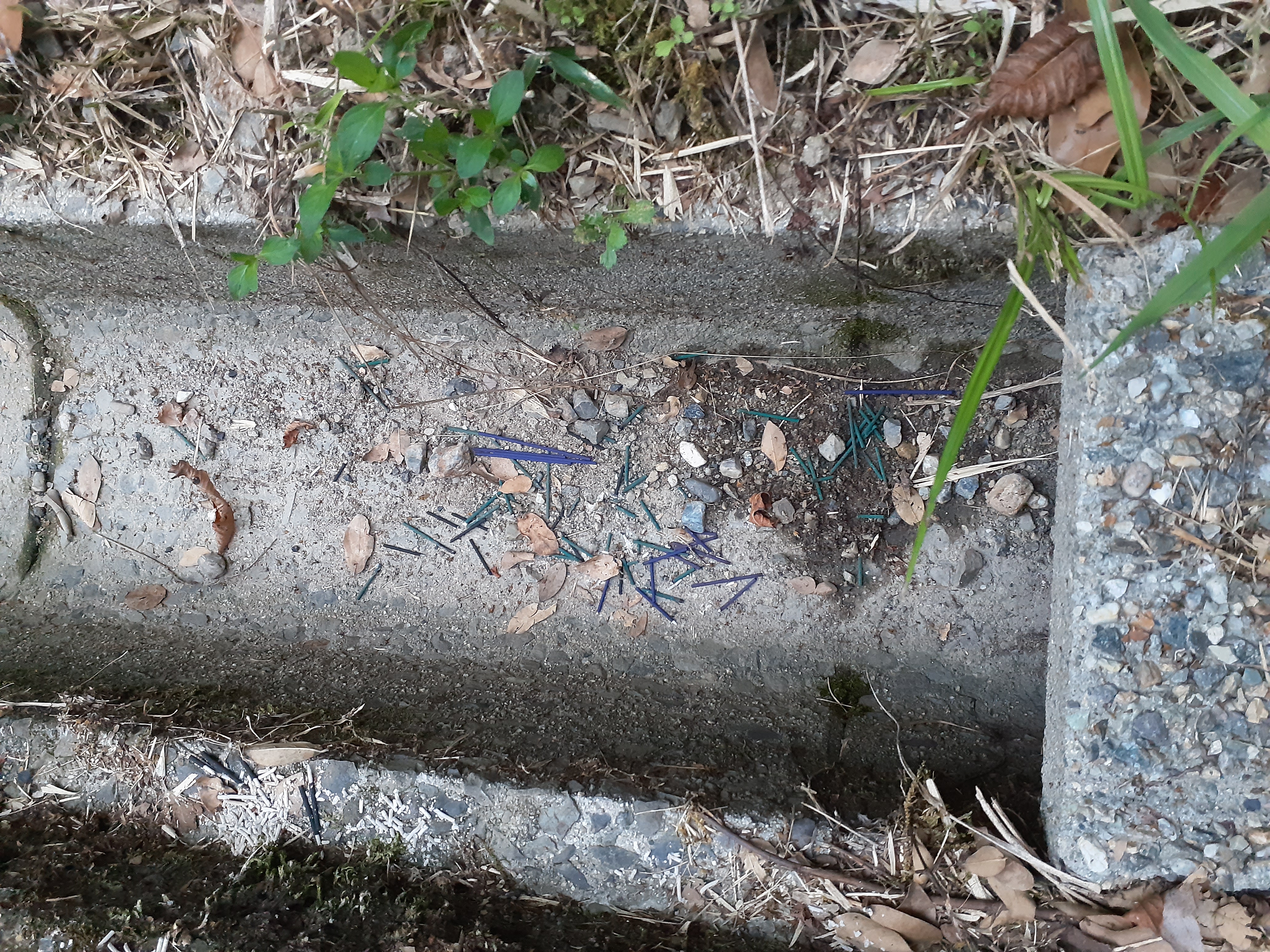 回収場所付近の側溝に線香が捨てられていました。