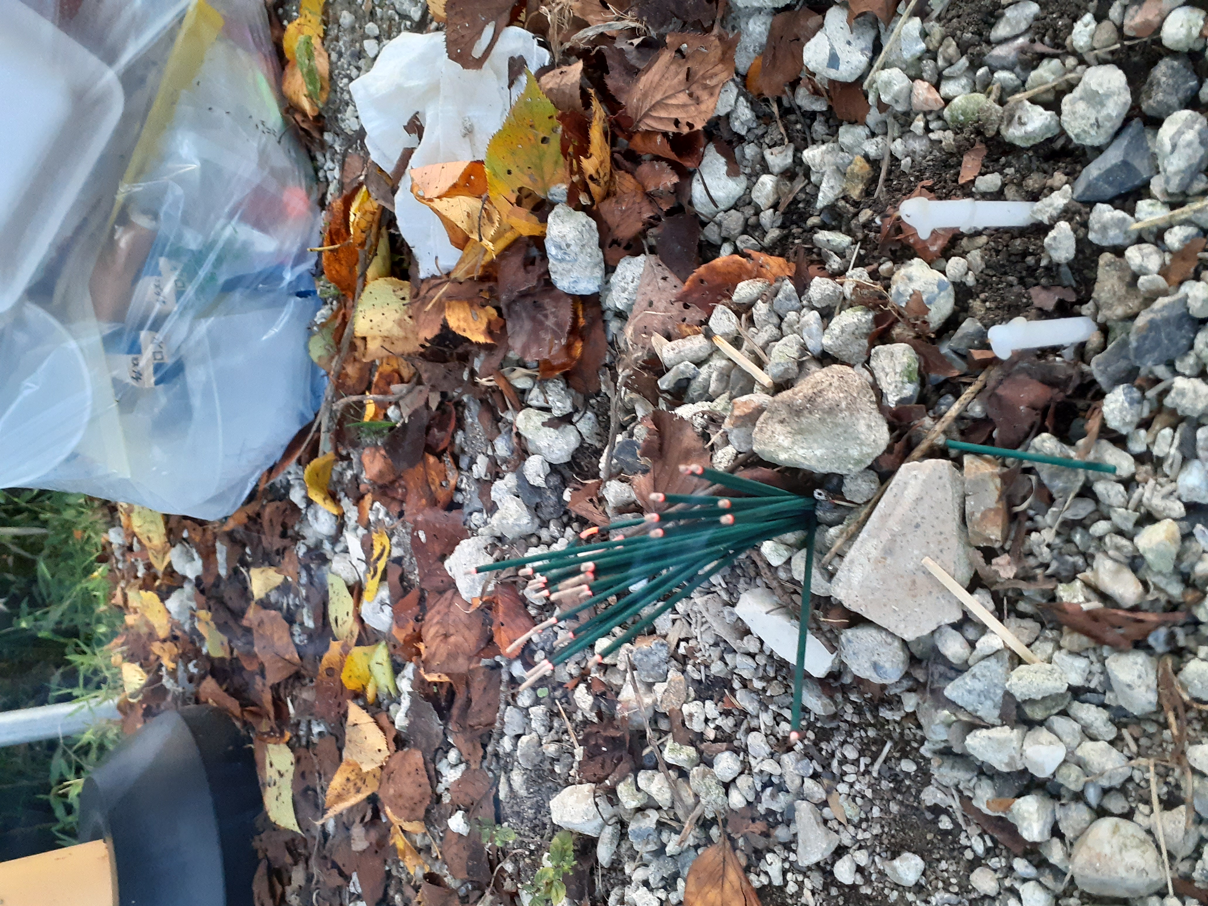 枯草の近くに線香がありました。