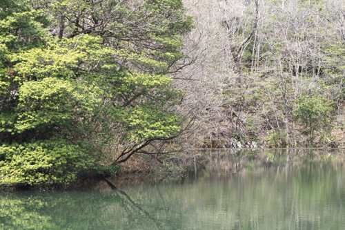 貯水池