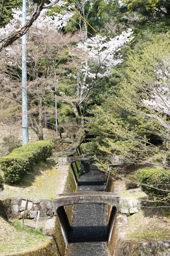 ダムの上からの風景