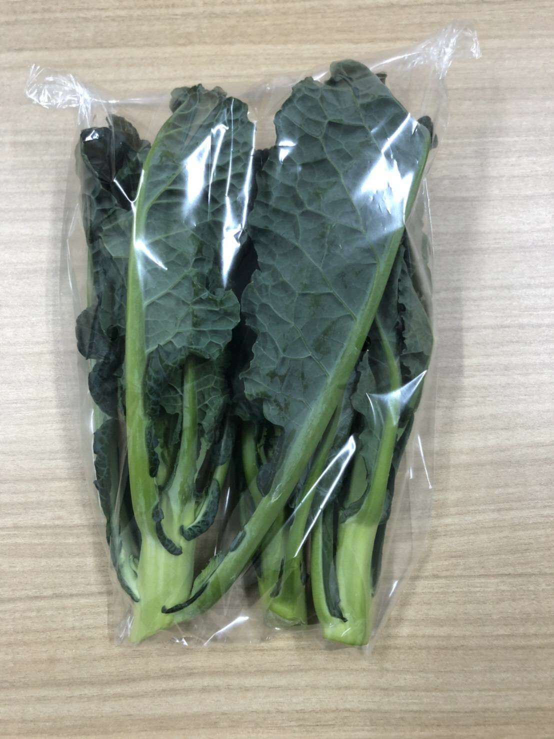 アレッタ.jpg アレッタ.jpg