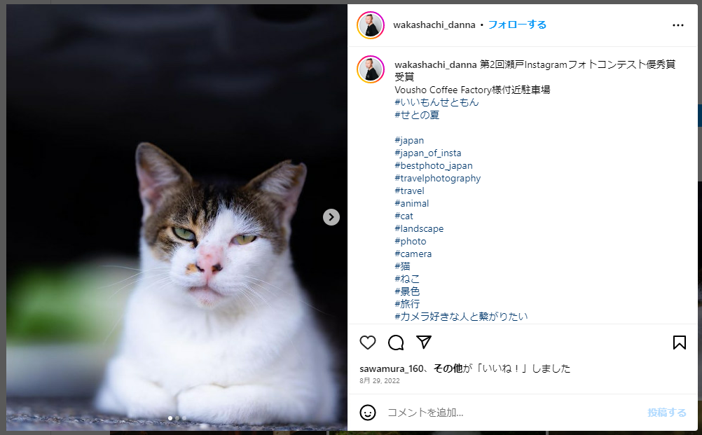 優秀作品「猫の写真」